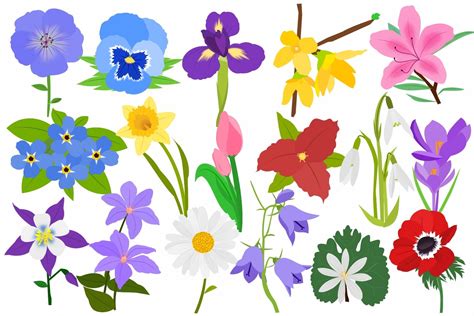 Spring Flowers Clipart Collection - Design Cuts