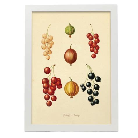 Nacnic Foglio Frutti Tropicali Collezione Da Cucina Vintage Cornici