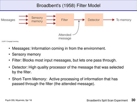 Introduction To Attention And Theories Of Selective Attention Ppt