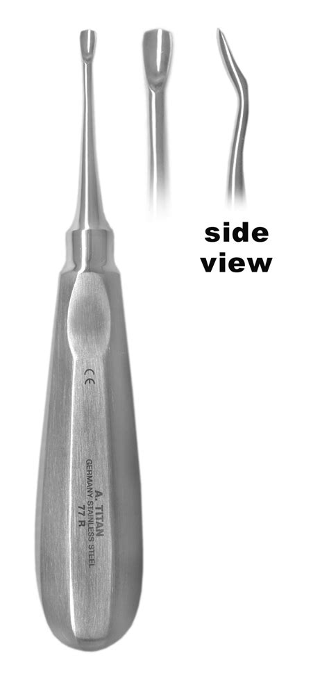 Root Tip Elevator In Dental Instruments Dental Surgical Hot Sex Picture