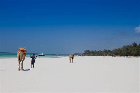 Diani Beach Luxury Safaris - Southern Destinations