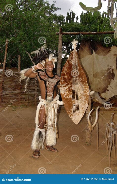 Young Man Wears Traditional Zulu Warrior Editorial Stock Photo Image