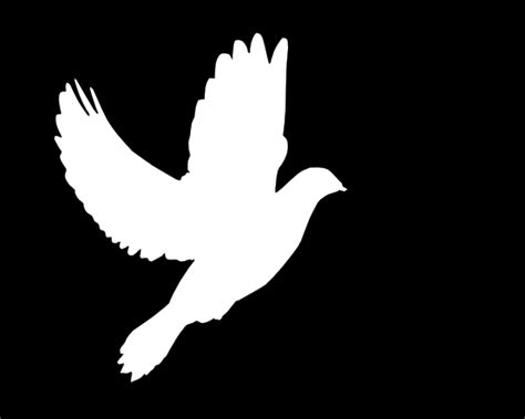 Dove Silhouette Png