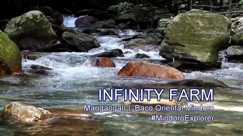 Infinity Farm Baco Oriental Mindoro Youtube