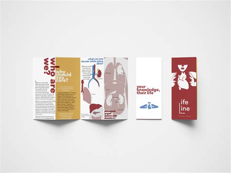 Organ Donation Pamphlet On Behance