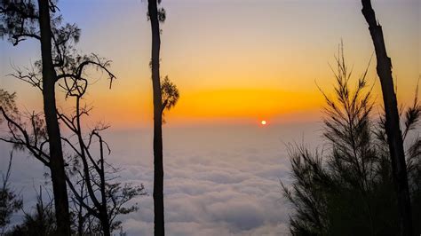 Pendakian Gunung Butak Via Jalur Sirah Kencong Blitar Juni