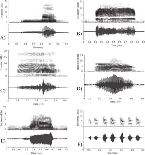 Spectrogram Above And Waveform Below Of The Defensive Vocalizations