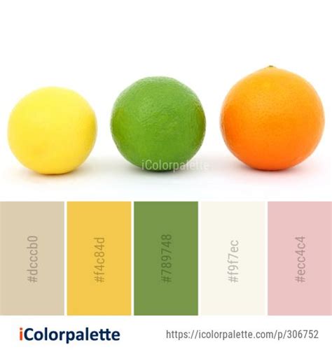 Lemon Lime Color Palette