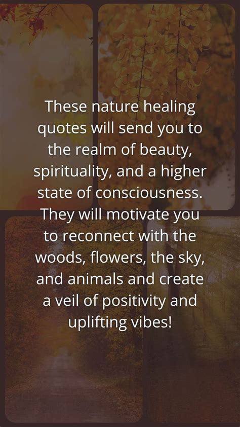 Best Nature Healing Quotes In 2022 Healing Quotes Healing Quotes