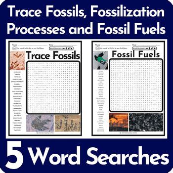 Trace Fossils Fossilization Processes And Fossil Fuels Word Search Bundle