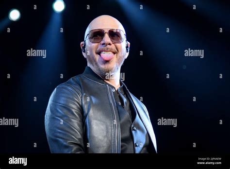 Pitbull Rapper Pitbull Rapper To Donald Trump Beware Of El Chapo
