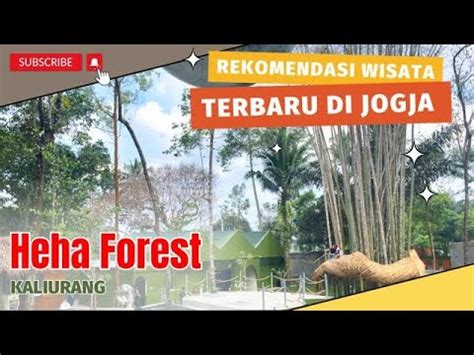 Rekomendasi Wisata Baru Dan Viral Di Jogja Heha Forest Kaliurang