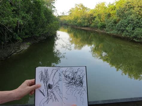 Adventures With The Naked Hermit Crabs Mangrove Pitta In Pasir Ris