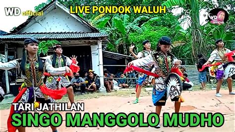 TARI JATHILAN PUTRI JARANAN SINGO MANGGOLO MUDHO LIVE PONDOK WALUH