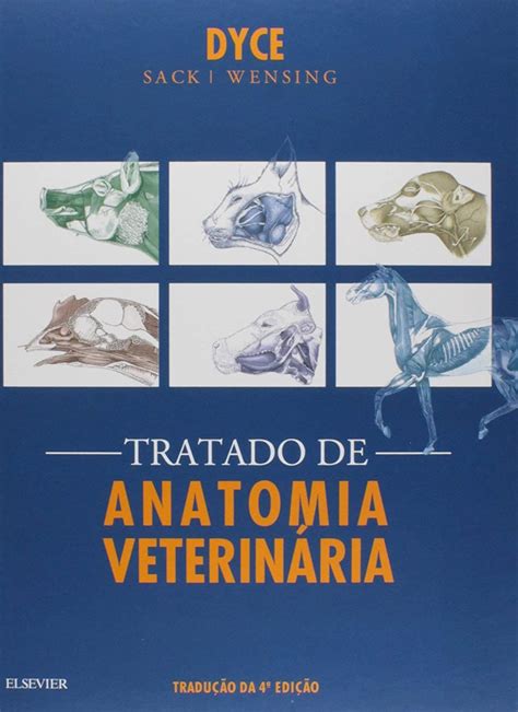 Tratado De Anatomia Veterin Ria Mezene Store