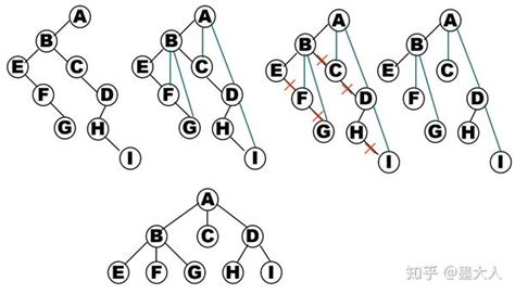 数据结构 树与二叉树 知乎