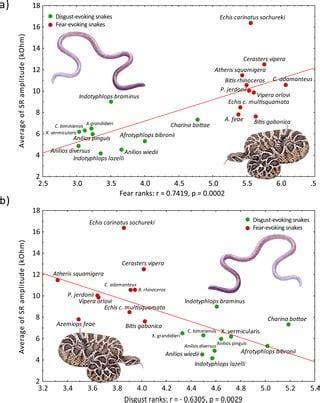 Venomous snakes elicit stronger fear than nonvenomous ones : r ...