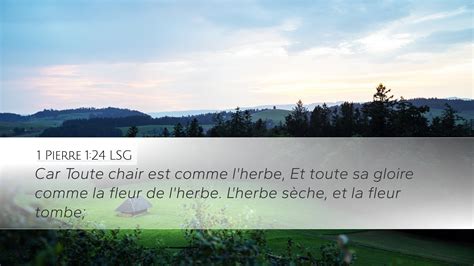 1 Pierre 1 24 LSG Desktop Wallpaper Car Toute Chair Est Comme L Herbe