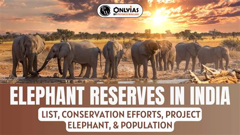 Elephant Reserves In India List