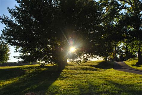 BROWN BUTTER + SEA SALT CHOCOLATE CHIP COOKIES — 600 ACRES