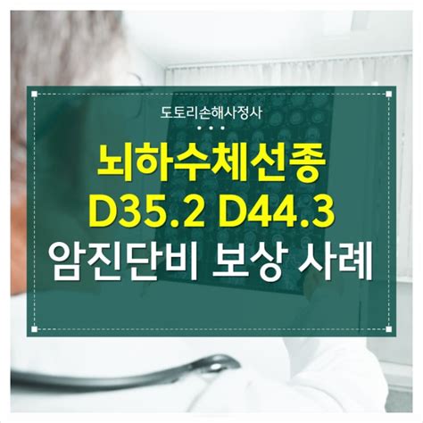 뇌하수체선종 D352 D443 암진단비 보상 사례 네이버 블로그