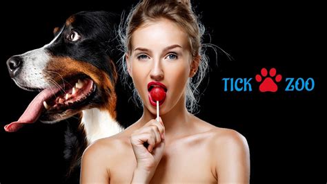Latest Updates About Tickzoo: Top 10 Alternatives in 2024