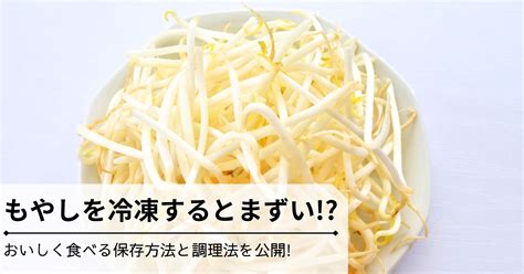 もやしを冷凍するとまずいおいしく食べる保存方法と調理法を公開 みらいぶ