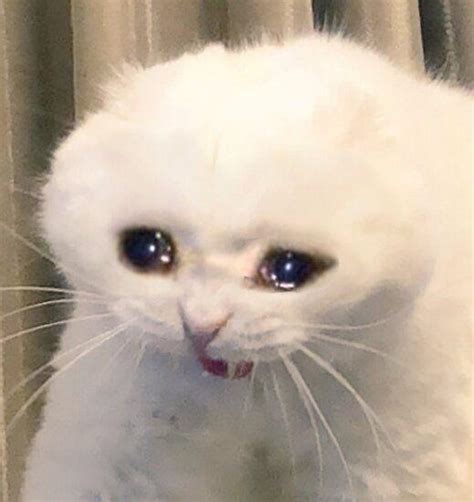 Am I Crying To Marcelines Monster Song Dedicated To Pb At 1147am Yes