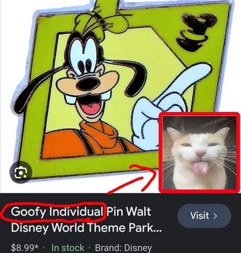 Goofy Individual Pin Walt Visit Disney World Theme Park