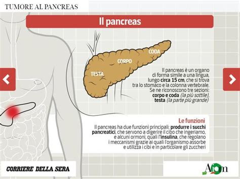 Tumore Al Pancreas La Web App Che Spiega Cause Diagnosi E Cure