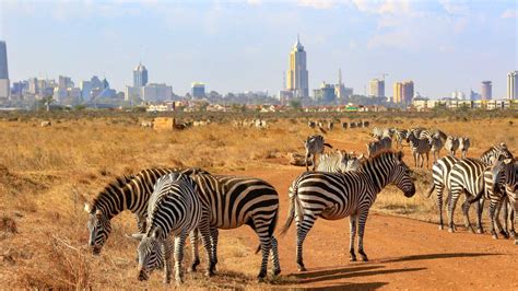 The Best Nairobi Tours, Tailor-Made for You I Tourlane