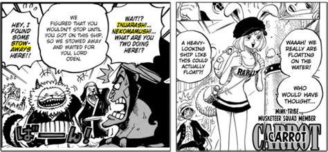 Theory The Final Straw Hat Crew Line Up Theory Worstgen