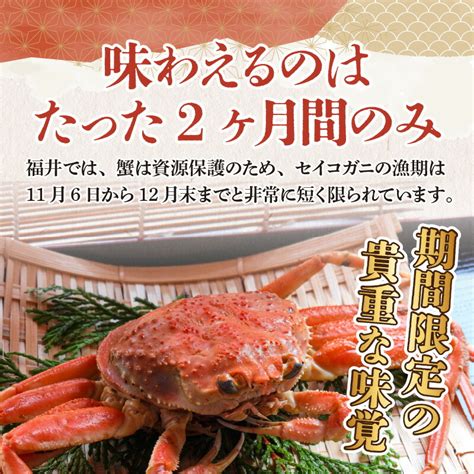 【楽天市場】【ふるさと納税】【数量・期間限定】福井県産 越前コッペガニ（セイコガニ）2杯4杯6杯【急速冷凍】（プロトン凍結）｜せいこ蟹