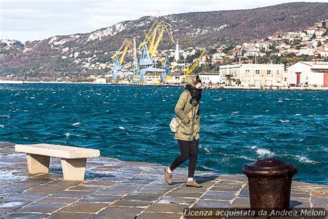 Meteo Trieste Oggi Nuvoloso Con Pioviggine Domani Pioggia Certa