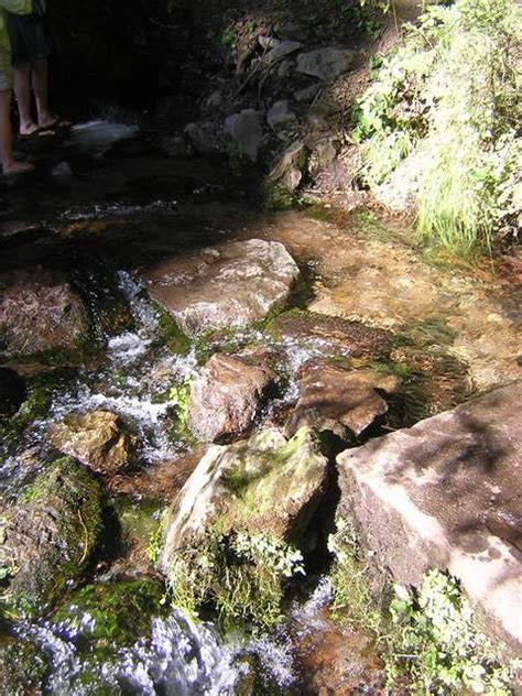 Mount Shasta CA The Headwaters Of The Sacramento River Photo