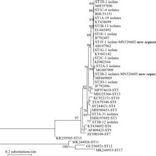 Phylogenetic Relationships Among Representative Sequences Of The