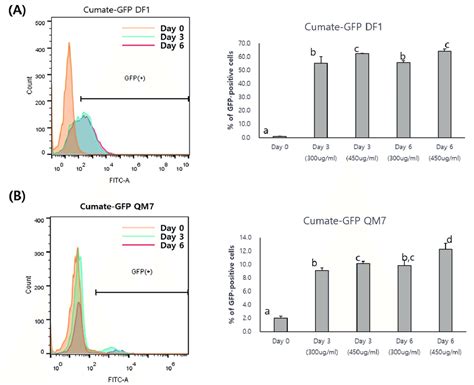 Flow Cytometry Following Induction Of The Green Fluorescent Protein