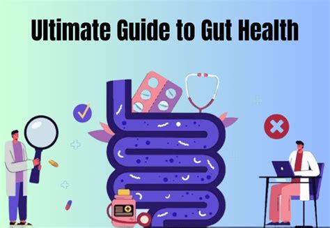 The Ultimate Guide To Gut Health: Everything You Need To Know