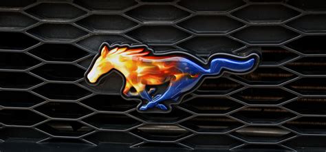 Mustang Cobra Logo Wallpapers Wallpaper Cave