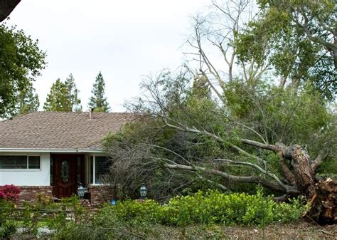 San Francisco Bay Area Suffers Worst Power Outage In Decades Indica News