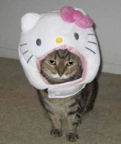 190 Hello Kitty Ideas In 2021 Hello Kitty Kitty Hello Kitty Aesthetic