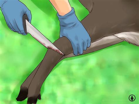 How to Skin a Deer: Step by Step Guide - Hunting Lot