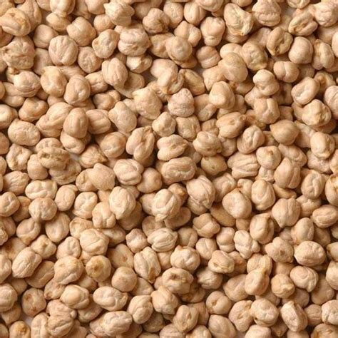 Indian White Kabuli Chana High In Protein Packaging Size Loose At Rs