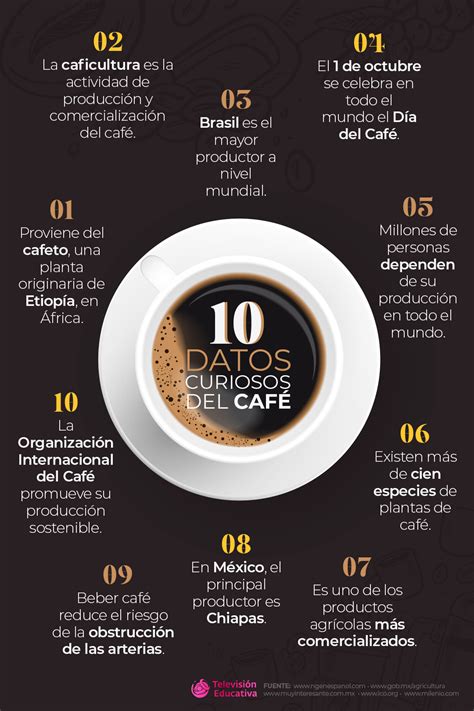 10 datos curiosos del café Nueva Escuela Mexicana