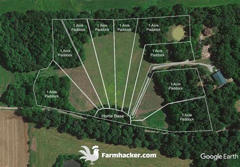 Pasture Pigs: Rotational Grazing Paddock Design & Layout - Farmhacker.com