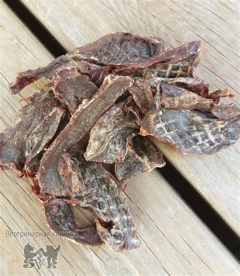 Лакомства для собак