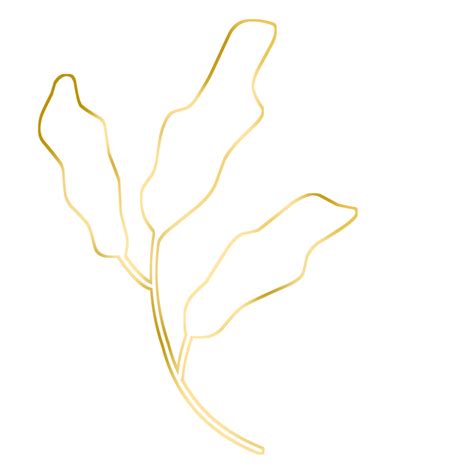 Gold Leaf Illustration 16774969 Png