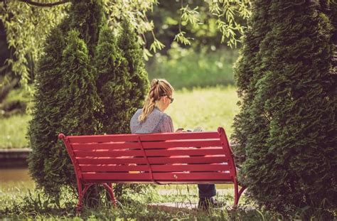 Free Picture Pretty Girl Grass Summer Wood Blonde Hair Garden Nature Tree Bench Furniture