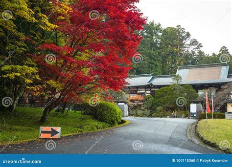 Autumnal Scenery of Nikko National Park Stock Photo - Image of place, horizontal: 100115360