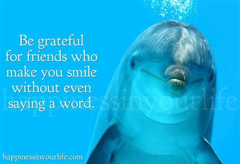 Dolphin Motivational Quotes. QuotesGram